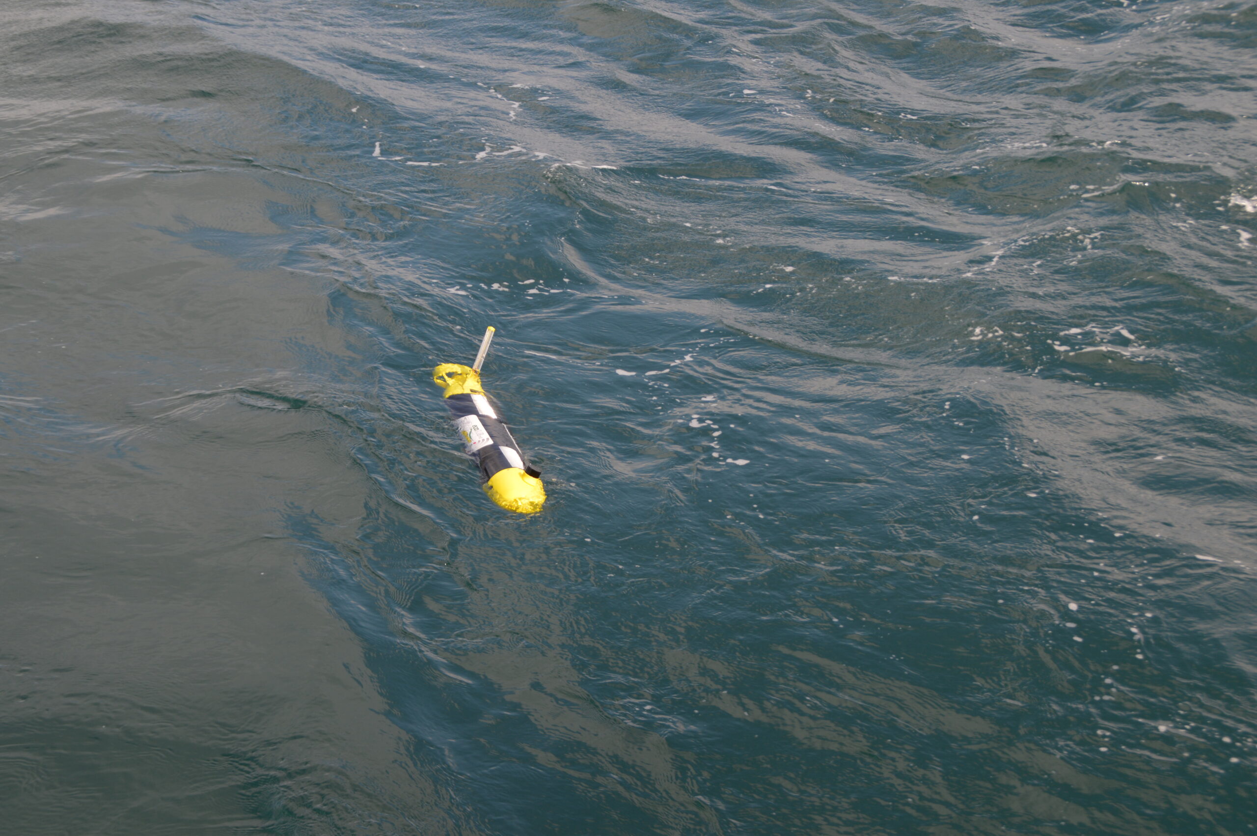 ecoSUB Robotics